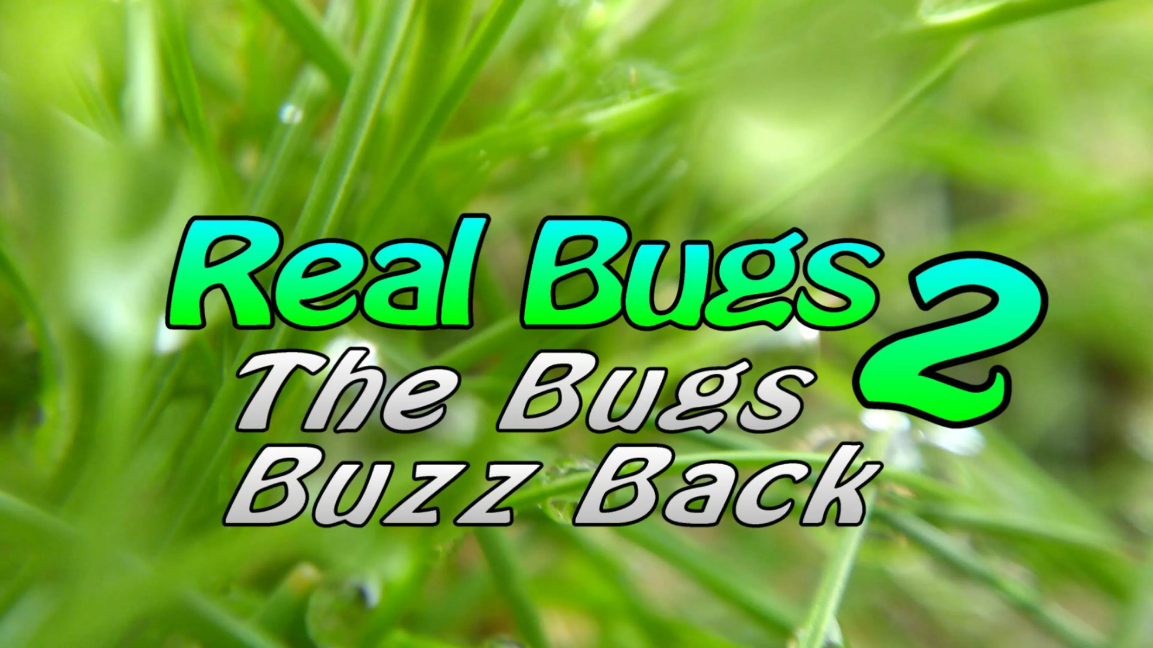 Real Bugs 2: The Bugs Buzz Back poster